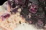 Dark Purple Cubic Fluorite on Quartz - China #94309-2